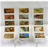 Image 3 : 44 Indians Of Canada Red Rose Tea Cards