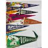 Image 3 : Nice Lot Of 11 Vintage Souvenir Pennants