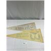 Image 2 : 3 Vintage Sports Pennants, Flames 1989 And Whalers And Mariners All Stars Game