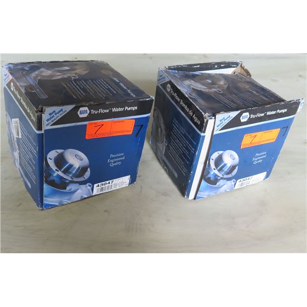 Qty 2 NAPA Tru-Flow Water Pumps 43047