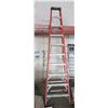 Image 1 : Werner Professional Performance Red Metal Step Ladder