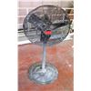 Image 1 : Dayton Pedestal Warehouse Fan #2LY97B