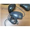 Image 8 : Qty 20 Computer Mouse: HP, Dell, Compaq, Logitech, etc