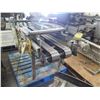 Image 8 : Dual Conveyor Belt System 66"L x 24"W