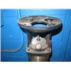 Image 8 : Grundfos Water Quality Centrifugal Pump 65GM ANSI/NSF61
