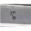 Image 8 : Commercial Dual Conveyor Belt System 240"L x 48"W