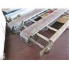 Image 2 : OHIO Commercial Dual Conveyor Belt System 94"L x 48"W