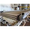 Image 2 : Metal Roller Single Conveyor System 119" x 24"