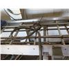 Image 8 : Trans Power Metal Raised Platform w/ Roller Belt & Baldor Engine 119"x 20"