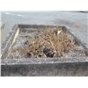 Image 8 : Qty 2 Concrete Footed Planters 48" x 48" x 35"