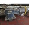 Image 7 : Pallet Lanham Metal 2 Belt Conveyor Section 117"L x 24"W