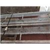 Image 3 : Pallet Lanham Metal 2 Belt Conveyor Section 168"L x 48"W