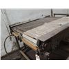 Image 2 : Marathon Electric 2 Belt Conveyor System Section on Stand