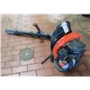 Image 1 : Echo PB-755ST Backpack Leaf Blower