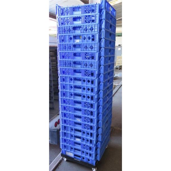 Qty 40 Blue Heavy Duty Stackable Plastic Bread Trays 26” x 21.5” x 4”