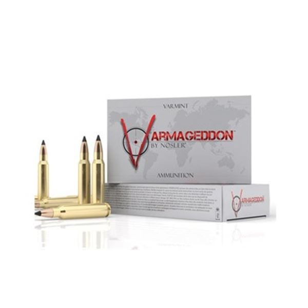 NOSLER VG 223REM 55GR FB TIP 20/400
