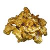 Image 1 : Large natural gold nugget from Alaska, 411.9 grams, the "Golden Coral."