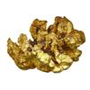 Image 3 : Large natural gold nugget from Alaska, 411.9 grams, the "Golden Coral."