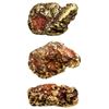 Image 1 : Natural gold nugget from a river in California, 107.39 grams, the "Golden Fist."