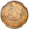 Image 2 : Potosi, Bolivia, gold 8 scudos, 1838LM, NGC AU 58.