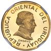 Image 1 : Uruguay, gold proof essai 1 peso, 1994, granulated legends, NGC PF 65 Ultra Cameo, finest and only e