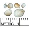 Image 1 : Lot of six small, natural pearls, 0.05 to 0.79 carat each, grades 1A and 1B, ex-Santa Margarita (162