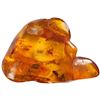 Image 1 : Baltic amber with preserved spider and flies, approx. 44 million years old, from Kaliningrad, Russia