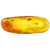 Image 1 : Baltic amber with preserved beetle, fly and wasp, approx. 44 million years old, from Kaliningrad, Ru