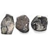 Image 2 : Lot of three Mexico City, Mexico, cob 4 reales "greenies" (uncleaned, as found), with hand-signed Fi