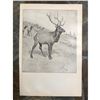 Image 2 : Early 1900's Half-tone Hunting Lodge Print, The Monarch, A. B. Frost, Elk