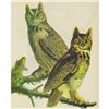 Image 1 : c1946 Audubon Print, #66 Great Horned Owl