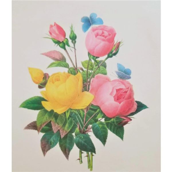 After Pierre-Jospeh Redoute, Floral Print, #127 Rose jaune et de Rose du Bengale (Rose)