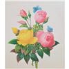 Image 1 : After Pierre-Jospeh Redoute, Floral Print, #127 Rose jaune et de Rose du Bengale (Rose)