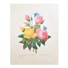 Image 2 : After Pierre-Jospeh Redoute, Floral Print, #127 Rose jaune et de Rose du Bengale (Rose)
