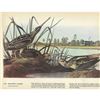 Image 2 : c1946 Audubon Print, Wilson's Snipe