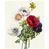 Image 1 : After Pierre-Jospeh Redoute, Floral Print, #7 Anemone
