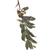 Image 1 : c1946 Audubon Print, #85 Yellow-Throated Warbler