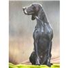 Image 1 : Bird Dog, Hunting Dog Oil Painting