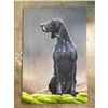 Image 2 : Bird Dog, Hunting Dog Oil Painting