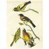 Image 1 : c1946 Audubon Print, #373 Two Grosbeaks
