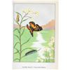 Image 3 : 1920's Painted Beauty Butterfly Color Lithograph Print