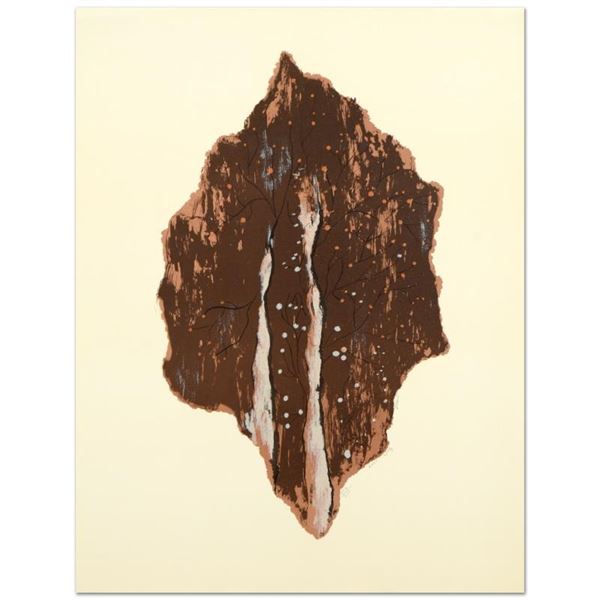Vinnie, "Lost Way" Limited Edition Lithograph, Numbered and Hand Signed by the A