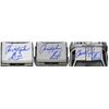 Image 2 : Christopher Lloyd Signed 1:24 Die Cast DeLorean Time Machine Trilogy Pack JSA