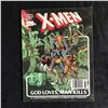 Image 1 : X-MEN (MARVEL GRAPHIC NOVEL)
