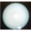 Image 1 : Fry Foval Jade Trim Plate #1574153