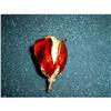 Image 1 : VINTAGE ROSE/rhinestones BROCH  #1576440