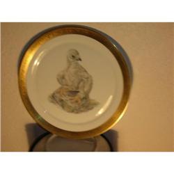 Limited Issue - Bone Porcelain Charger With #1576468