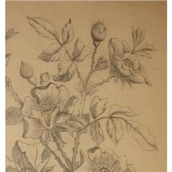 Magnificent Drawing of Flowers - Circa #1596871