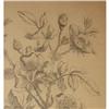 Image 1 : Magnificent Drawing of Flowers - Circa #1596871