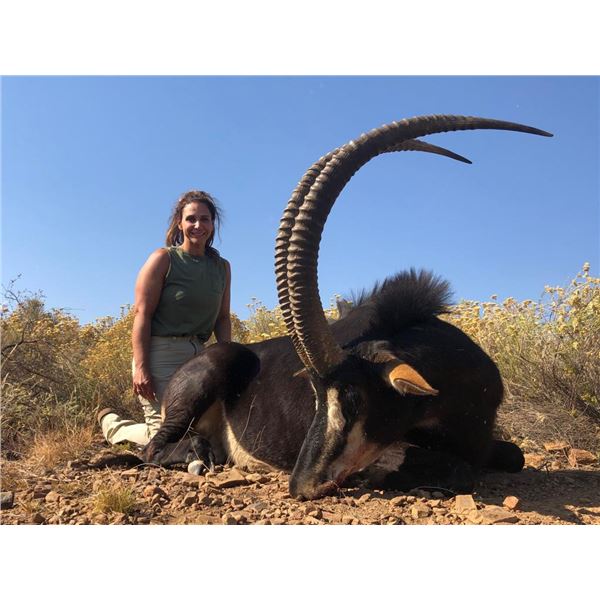 Africa Maximum Safaris 8 Day Sable and Nyala Hunt for 2 Hunters North West Province